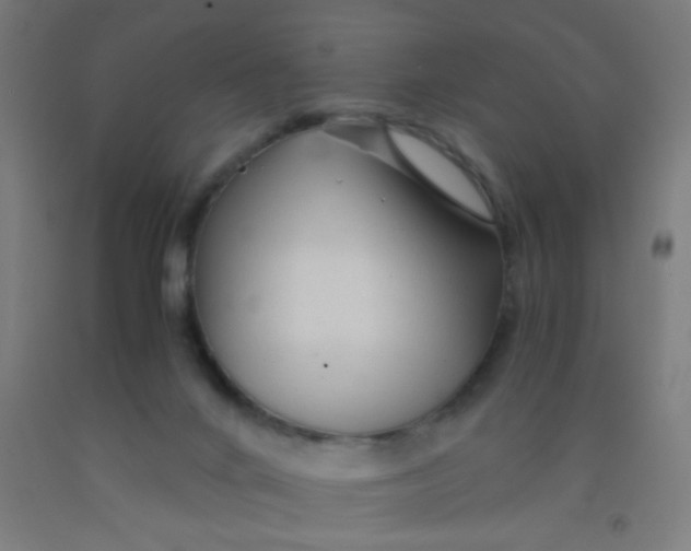 X0000092020024200709271558