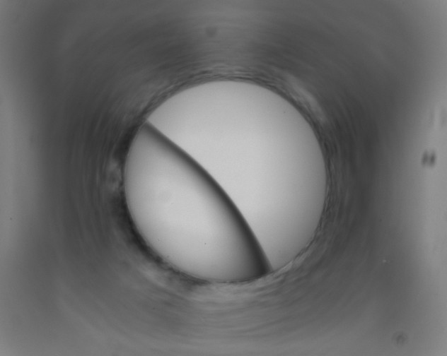 X0000092020025200709271558