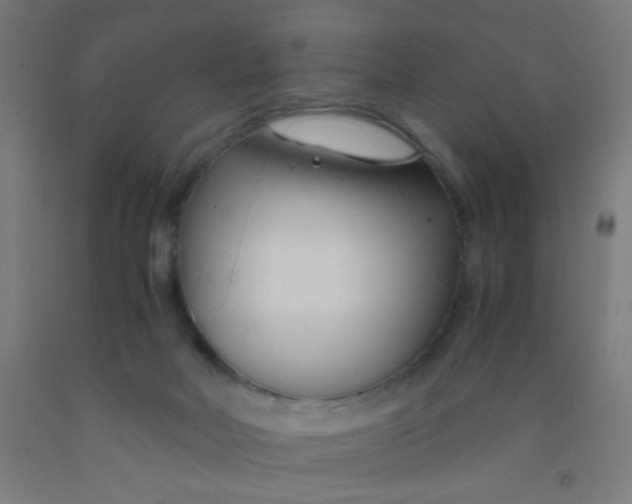 X0000092020026200709271558