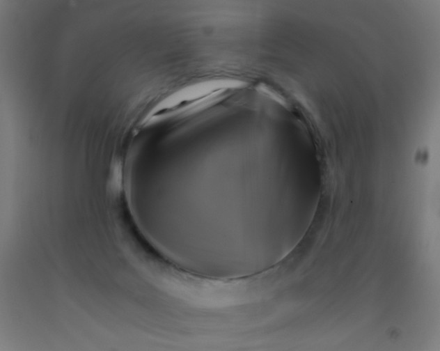 X0000092020027200709271558