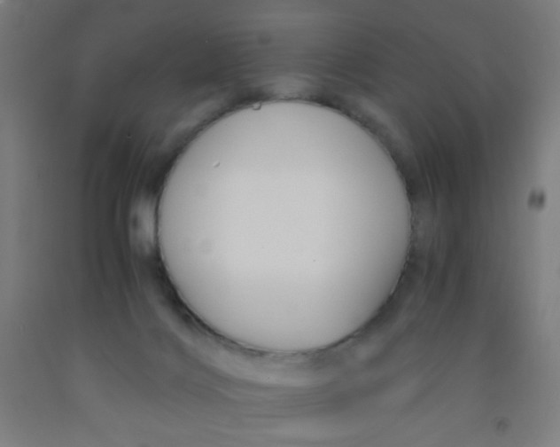 X0000092020028200709271558