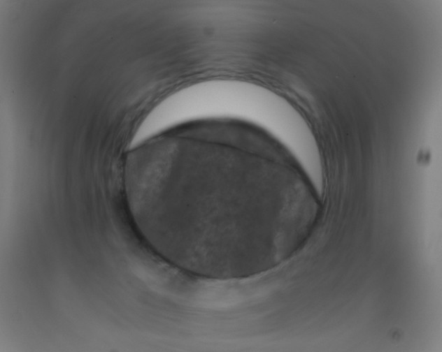 X0000092020029200709271558