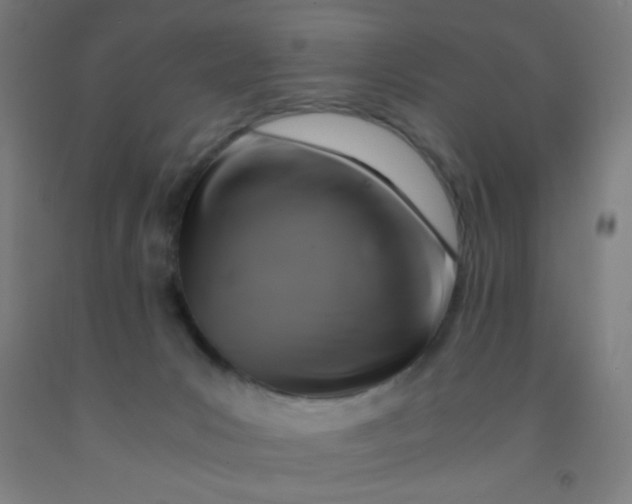 X0000092020031200709271558