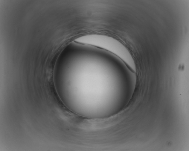 X0000092020033200709271558