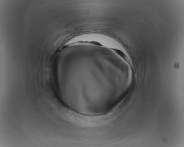 X0000092020035200709271558