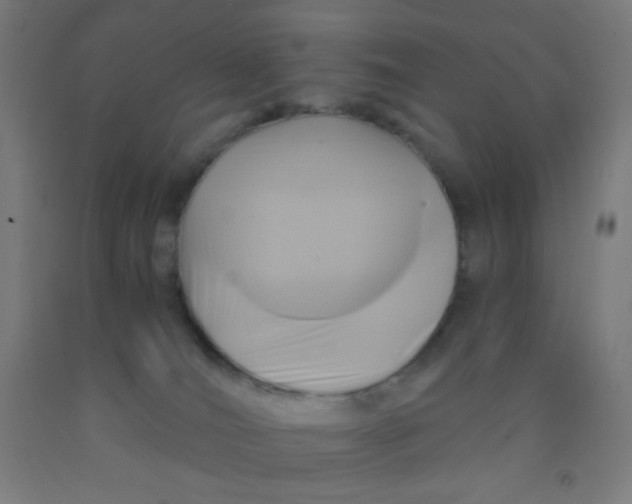 X0000092020036200709271558