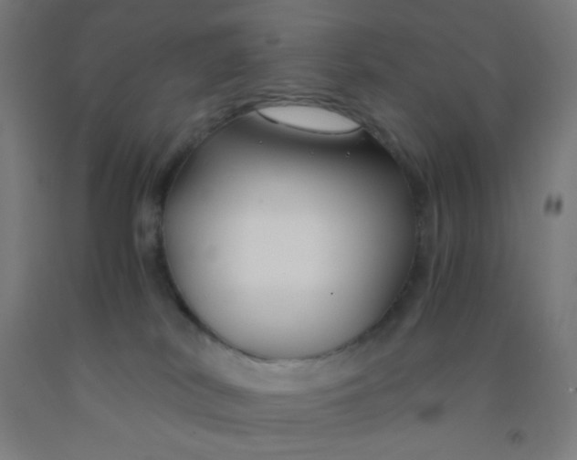 X0000092020038200709271558