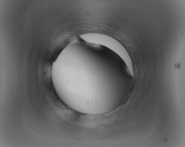 X0000092020041200709271558