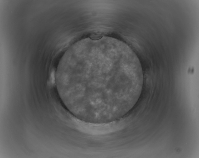 X0000092020042200709271558