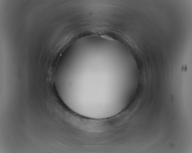 X0000092020044200709271558