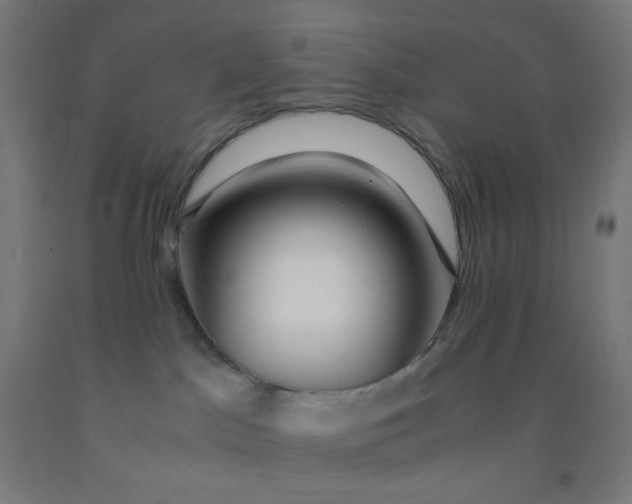 X0000092020045200709271558