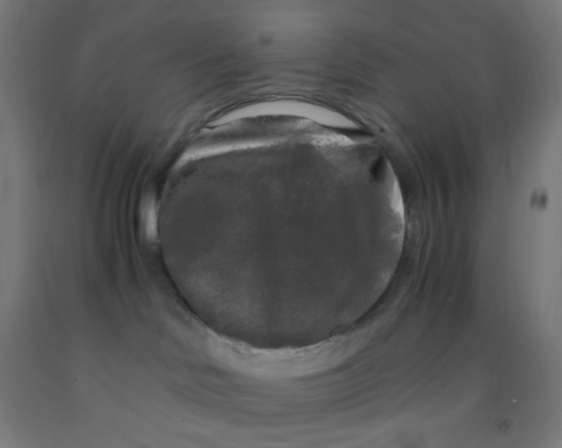 X0000092020046200709271558