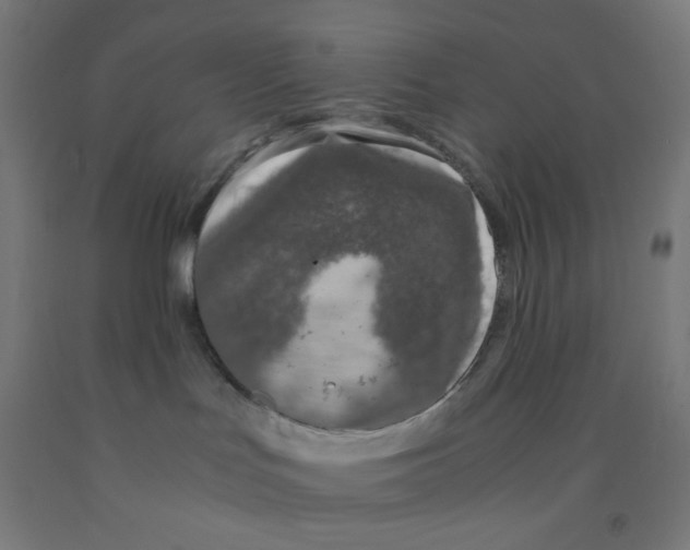 X0000092020047200709271558