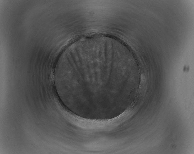 X0000092020048200709271558