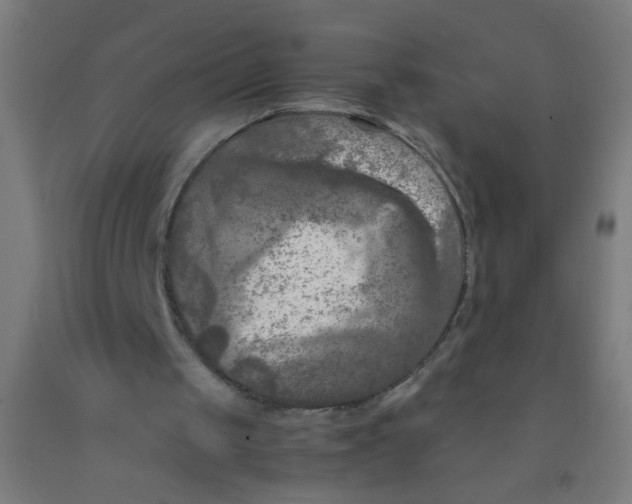 X0000092020049200709271557