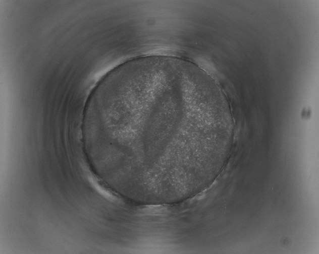 X0000092020050200709271557