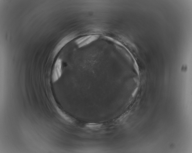 X0000092020051200709271557