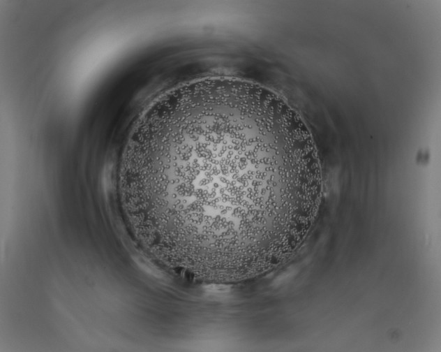 X0000092020052200709271557