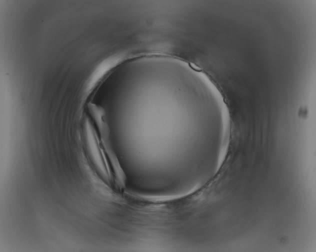 X0000092020054200709271557