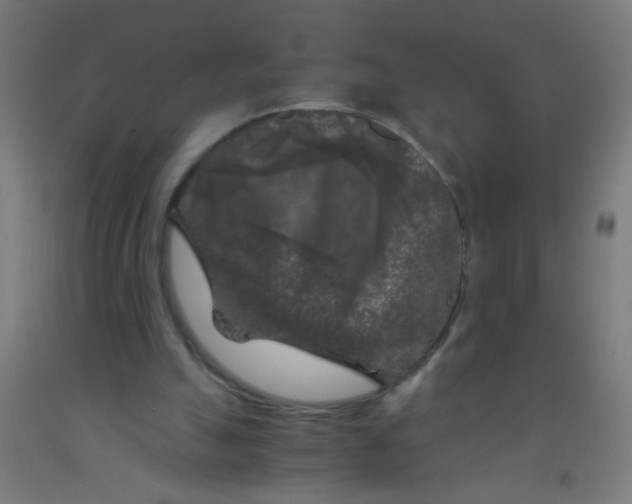 X0000092020055200709271557