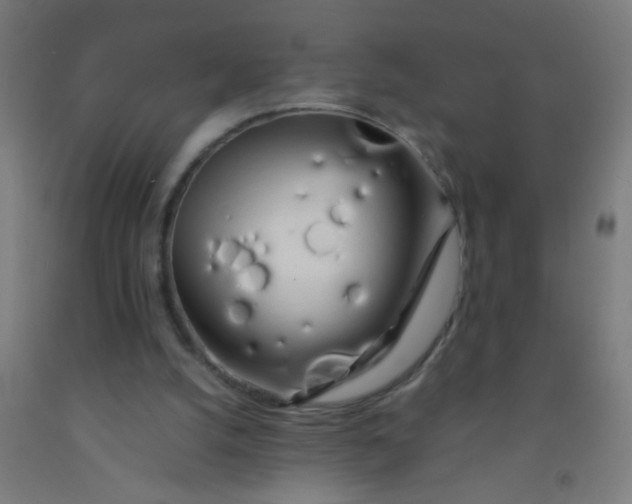 X0000092020056200709271557