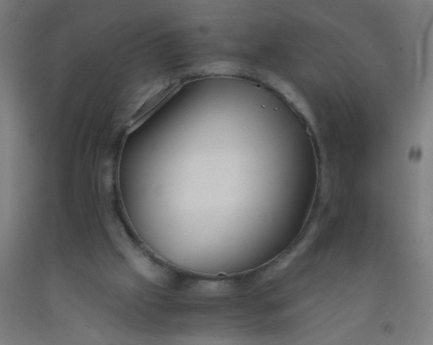 X0000092020057200709271557