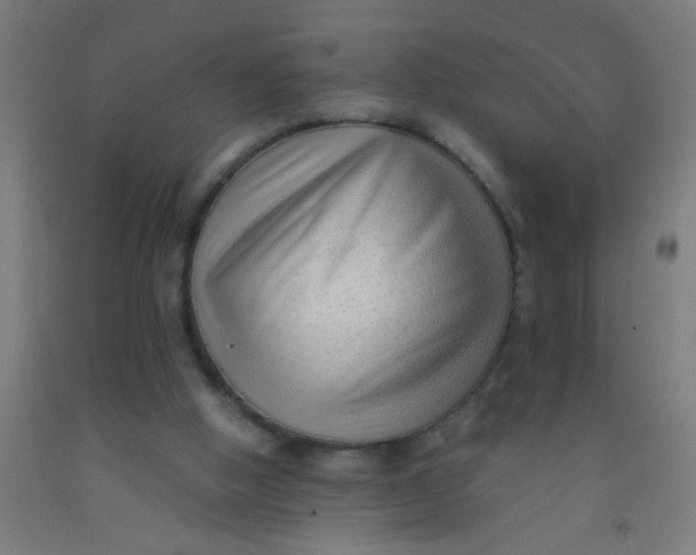 X0000092020058200709271557