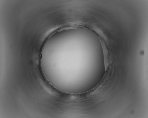 X0000092020060200709271557