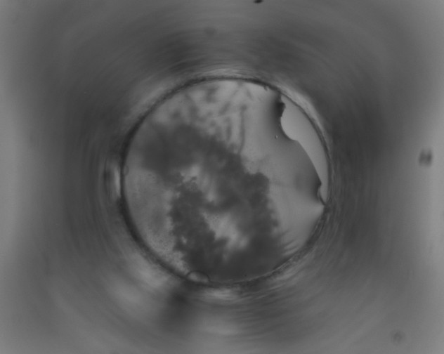 X0000092020061200709271557