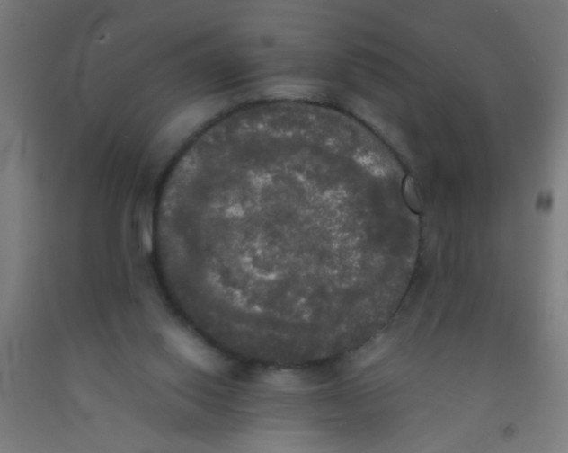 X0000092020062200709271557