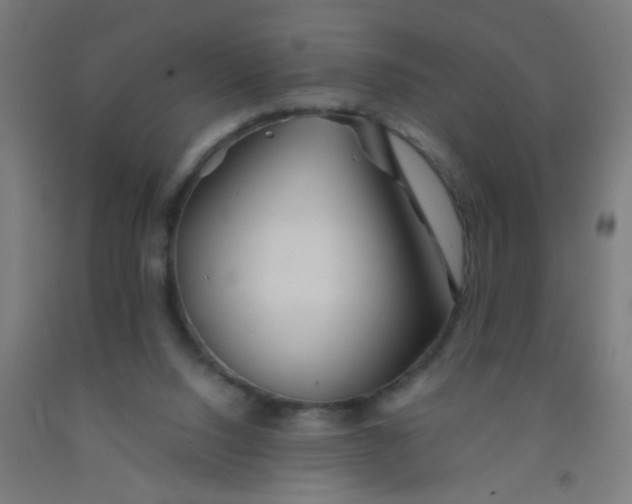 X0000092020064200709271557