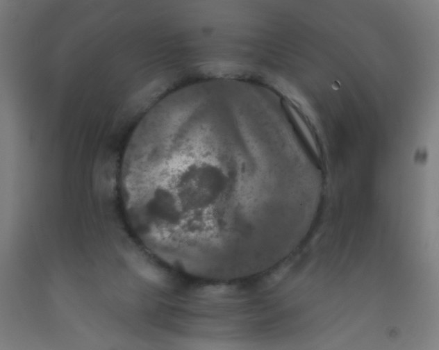 X0000092020065200709271557