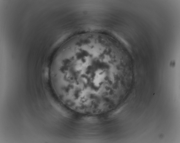 X0000092020067200709271557