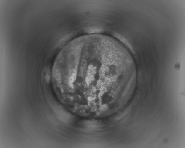 X0000092020069200709271557