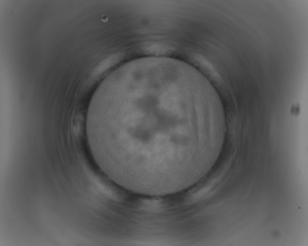 X0000092020071200709271558