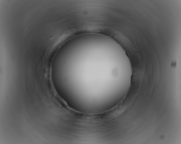 X0000092020072200709271558