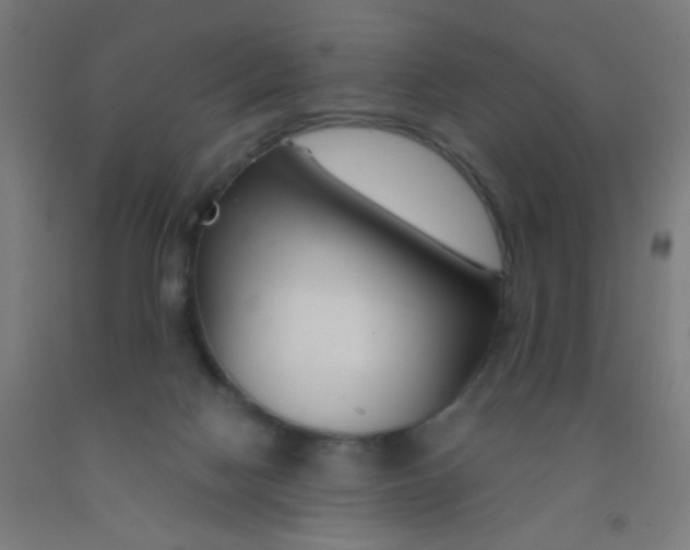 X0000092020074200709271558