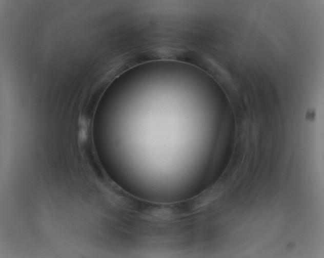 X0000092020075200709271558