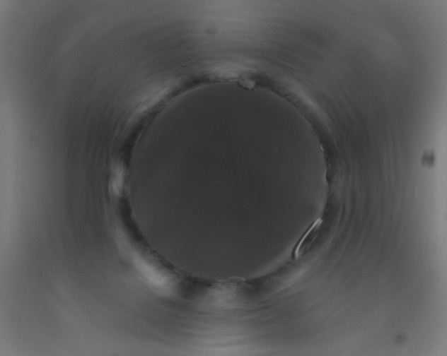 X0000092020076200709271558