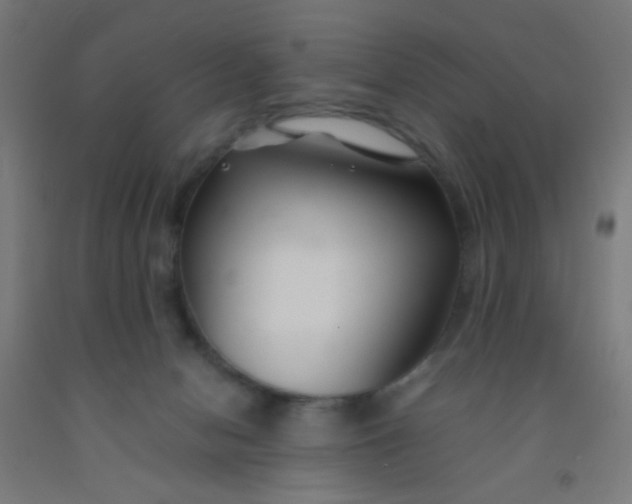 X0000092020078200709271558