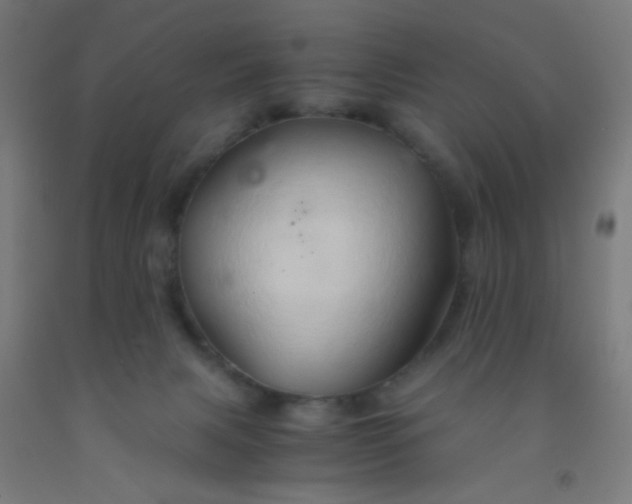 X0000092020079200709271558