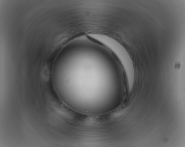 X0000092020080200709271558