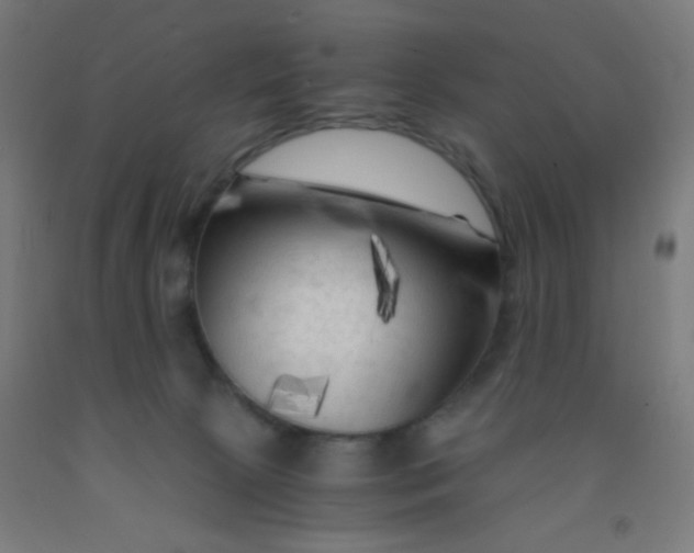 X0000092020081200709271558