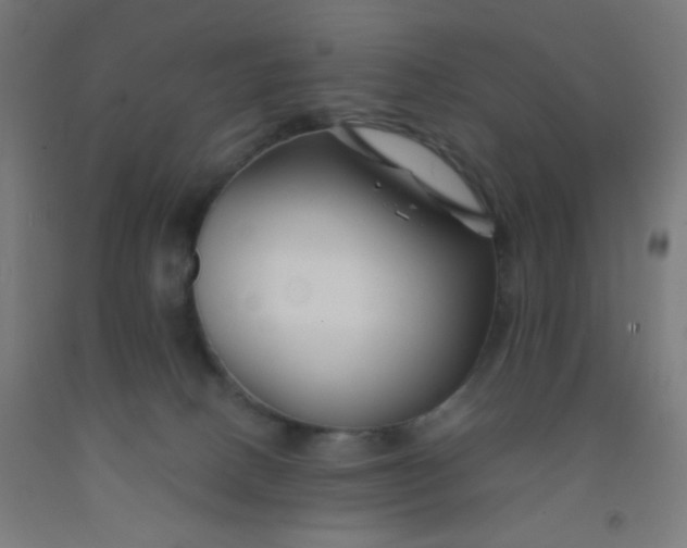 X0000092020082200709271558