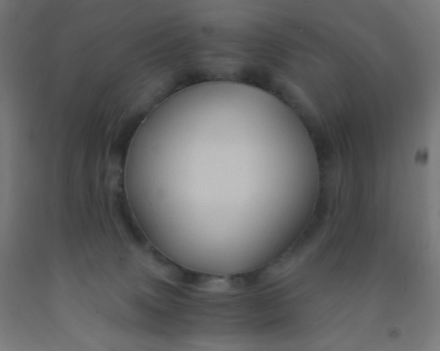 X0000092020083200709271558