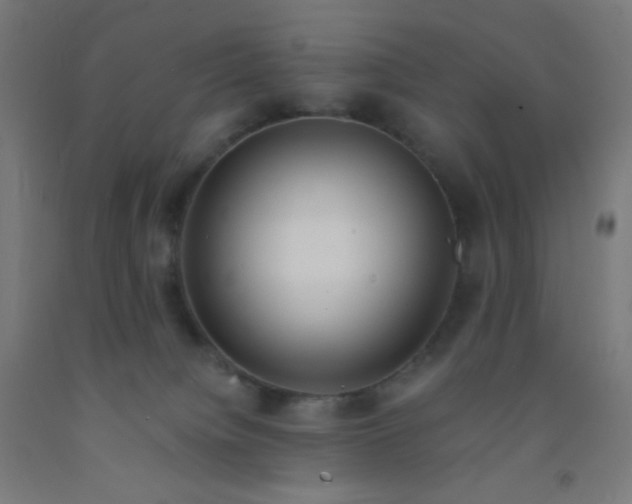 X0000092020084200709271558