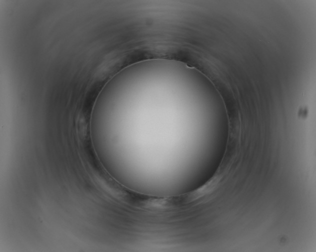 X0000092020086200709271558