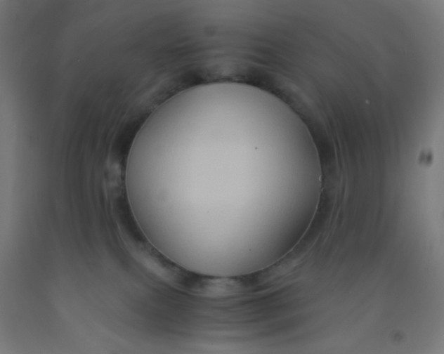 X0000092020087200709271558