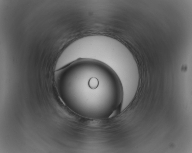 X0000092020088200709271558