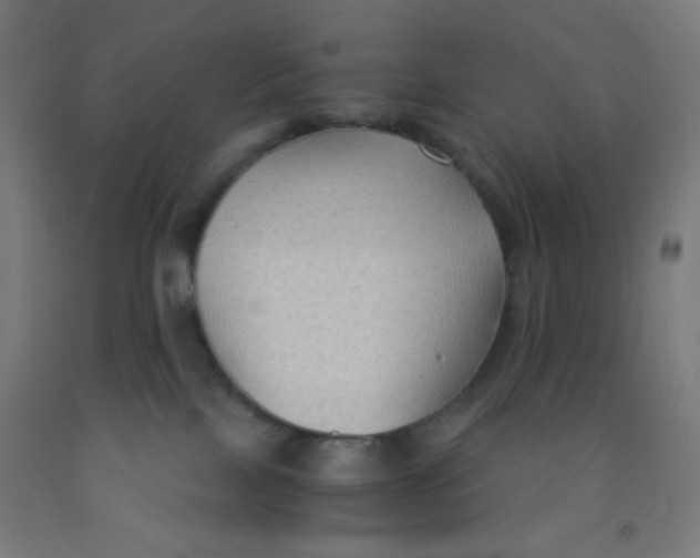 X0000092020089200709271558